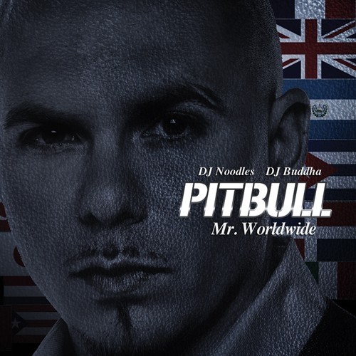 Mr. Worldwide封面