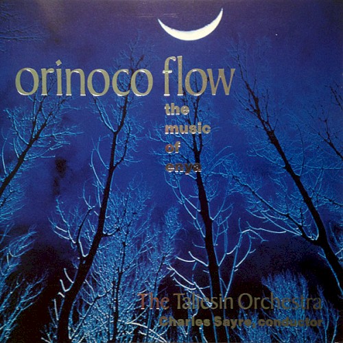 Orinoco Flow: The Music of Enya封面