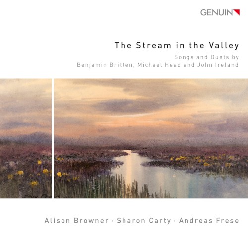 The Stream in the Valley封面