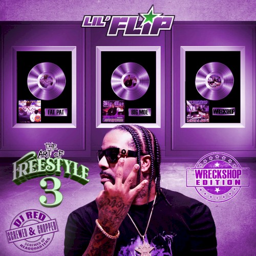 The Art of Freestyle 3封面