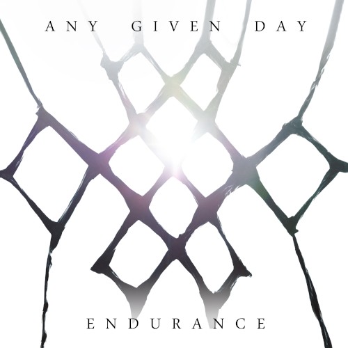 Endurance封面