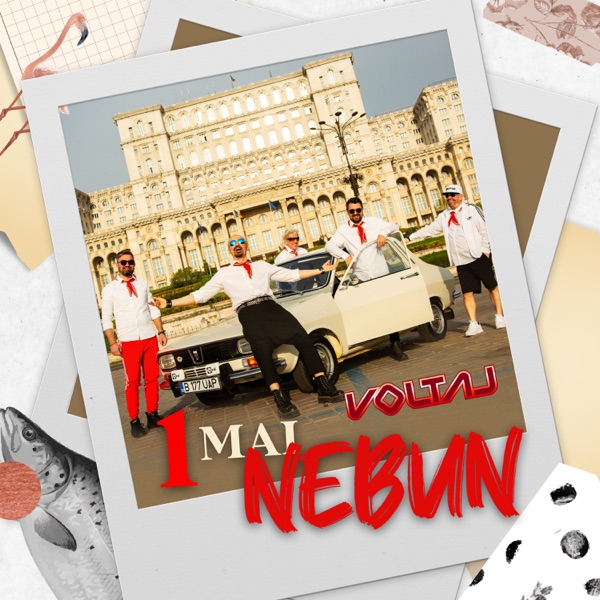 1 Mai nebun封面