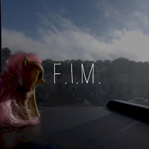 F.I.M.封面