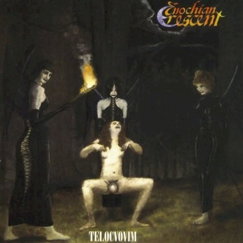 Telocvovim封面