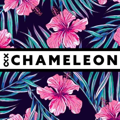 Chameleon封面