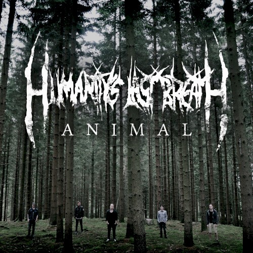 Animal封面