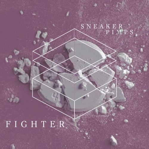 Fighter封面