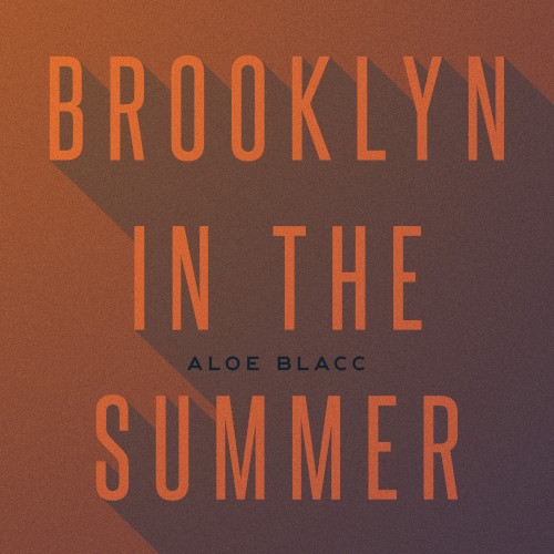 Brooklyn in the Summer封面