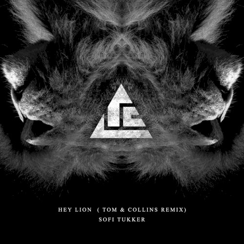 Hey Lion (Tom & Collins remix)封面