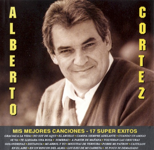 Mis mejores canciones: 17 super éxitos封面