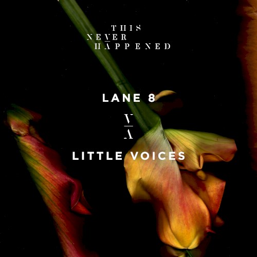Little Voices封面