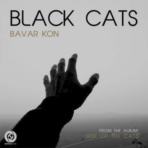 Bavar Kon封面