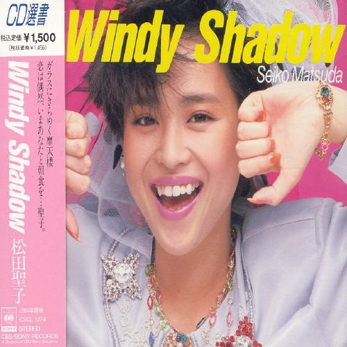 Windy Shadow封面