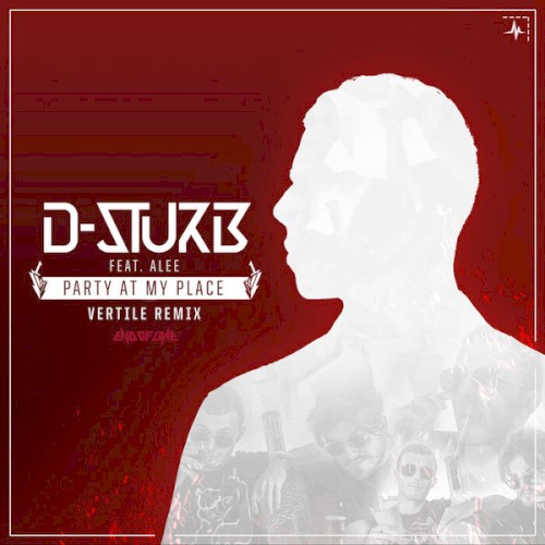 Party at My Place (Vertile remix)封面