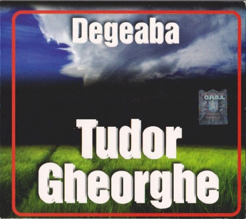 Degeaba封面