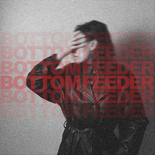 Bottom Feeder封面