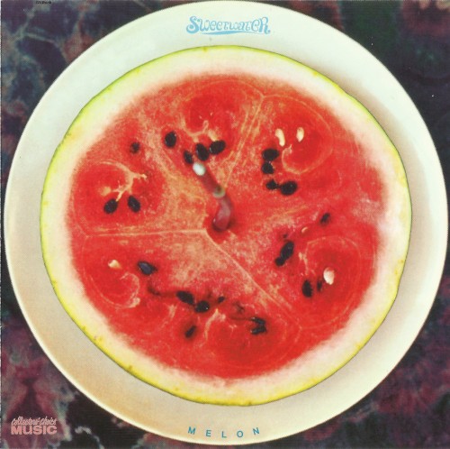 Melon封面