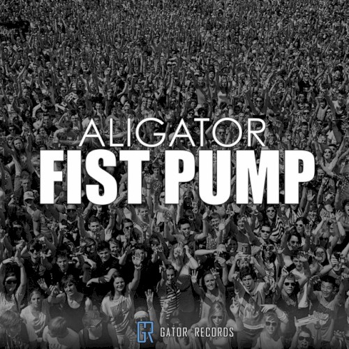 Fist Pump封面