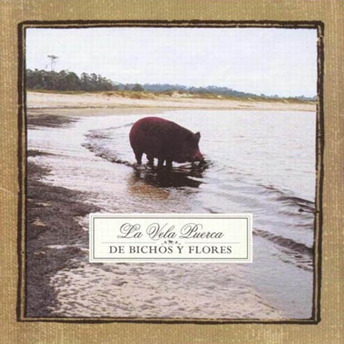 De bichos y flores封面