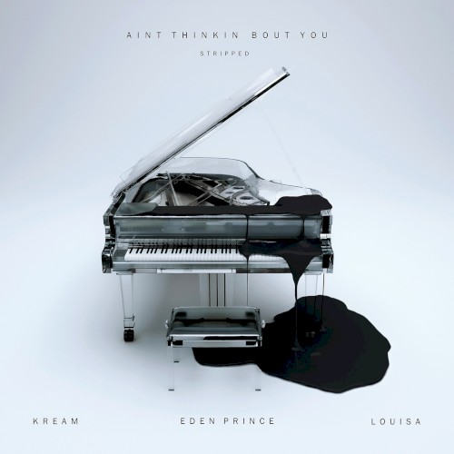 Ain’t Thinkin Bout You (stripped)封面