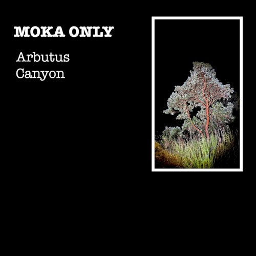 Arbutus Canyon封面