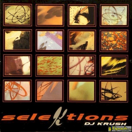 Selektions封面