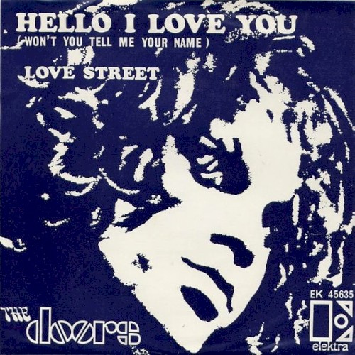 Hello, I Love You, Won’t You Tell Me Your Name?封面