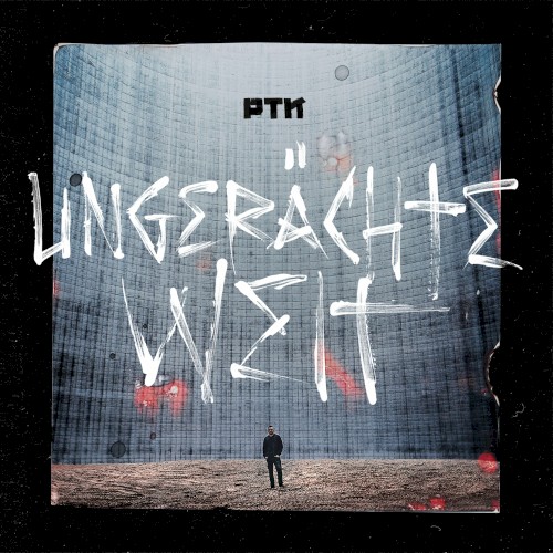 Ungerächte Welt封面