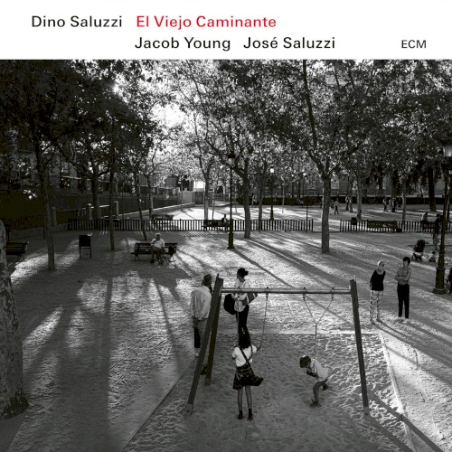 El viejo caminante封面