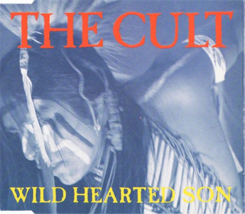 Wild Hearted Son封面
