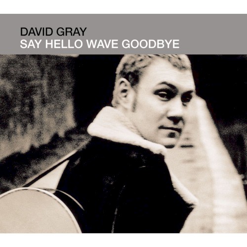 Say Hello Wave Goodbye封面