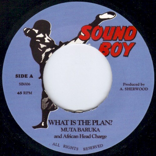 What Is The Plan?封面