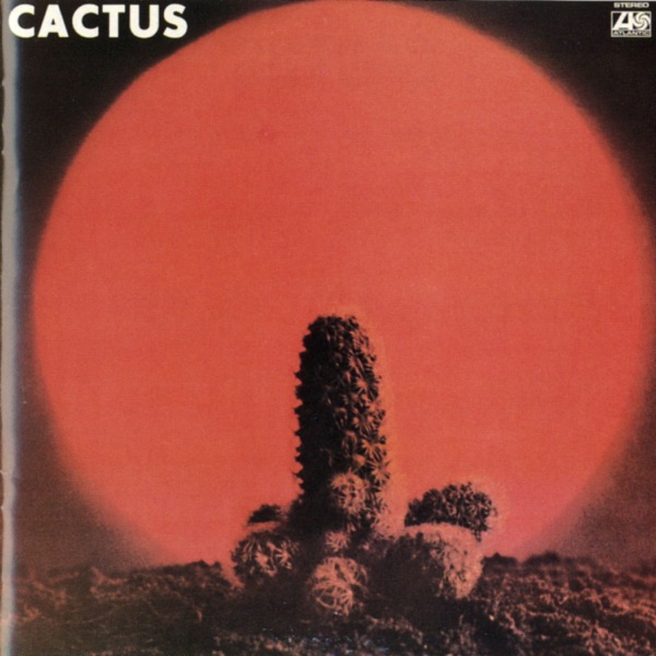 Cactus封面