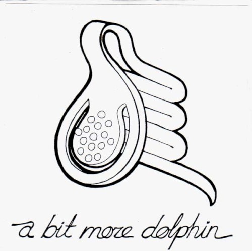A Bit More Dolphin封面