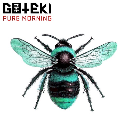 Pure Morning封面