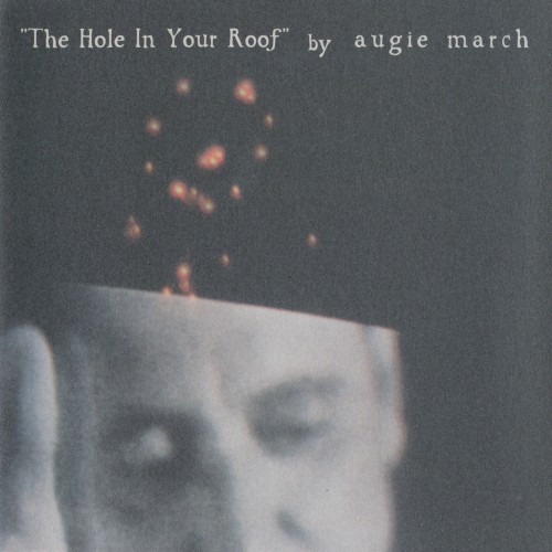 The Hole in Your Roof封面