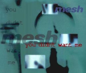 You Didn't Want Me封面