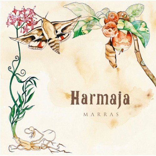 Marras封面