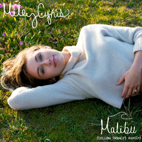 Malibu (Dillon Francis remix)封面