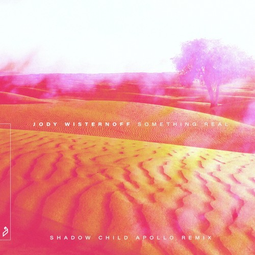Something Real (Shadow Child Apollo remix)封面