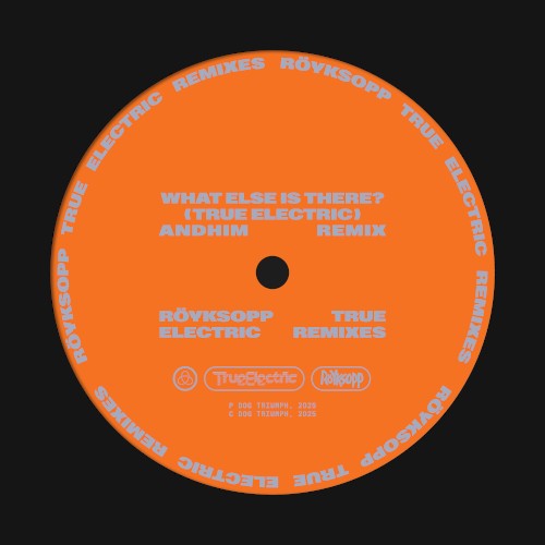 What Else Is There? (andhim extended remix)封面