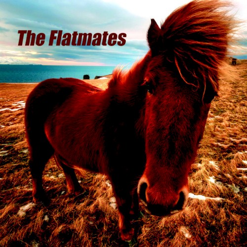The Flatmates封面
