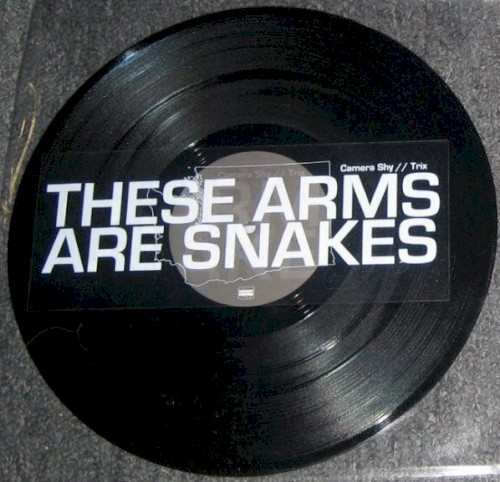 These Arms Are Snakes / Russian Circles封面
