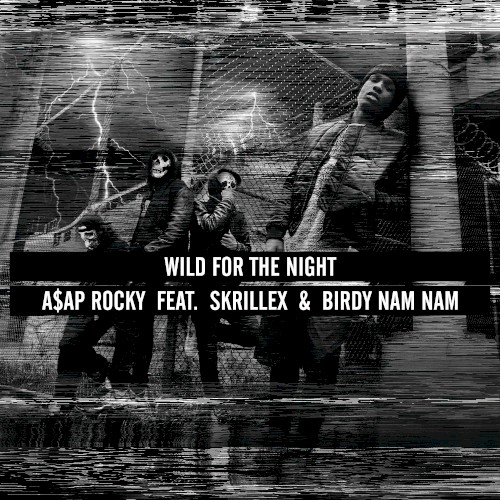 Wild for the Night封面