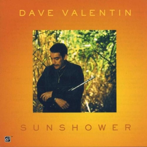Sunshower封面