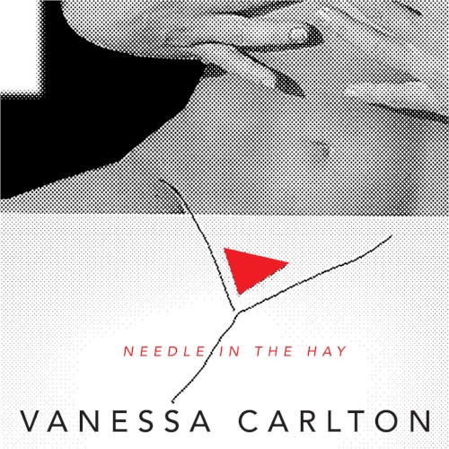 Needle in the Hay封面