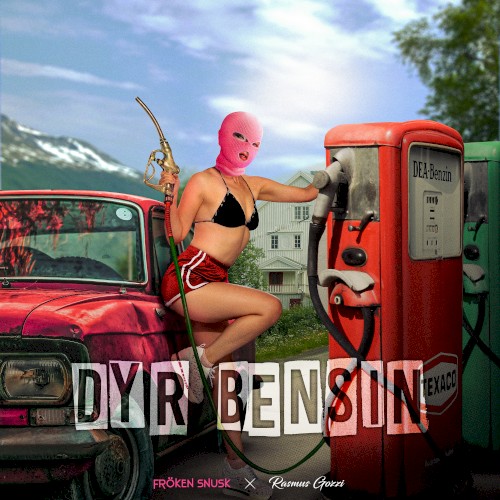 DYR BENSIN封面