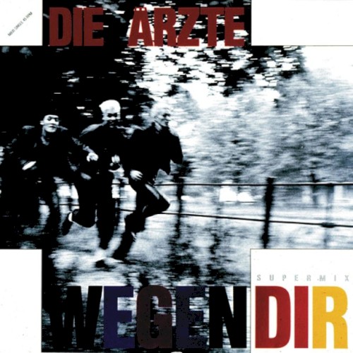 Wegen Dir封面
