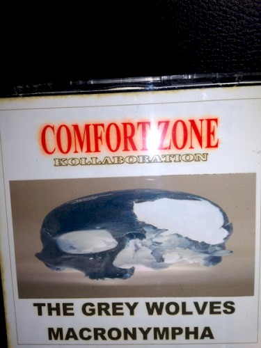 Comfort Zone Kollaboration封面