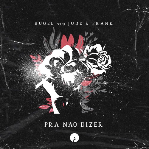 Pra nao dizer封面